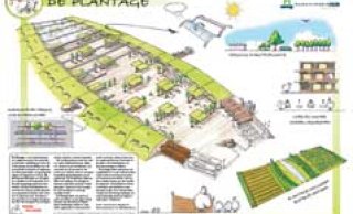 Brochure van 'De Plantage'