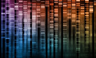 green_genetic_dna.jpg