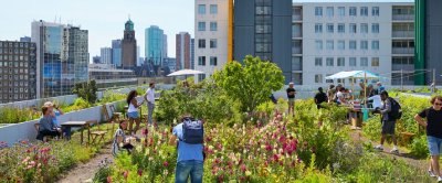 Web 72 DPI-shutterstock_1523657147_NL_Rotterdam_urban_farming_[red].jpg