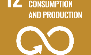 Responsible Consumption and Production