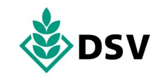 DSV logo