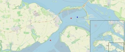 Kaart met voorkomen van de Ocnus planci in de Oosterschelde tijdens de Demersal Fish Survey 2024. Credits: Wageningen Marine Research