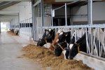 Proef vindt plaats in milieustal