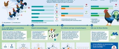 Infographic 2: Omgang met inteelt en verwantschap voor fokkers en eigenaren