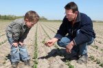 Samen met zijn zoon bekijkt Buijs de groeiontwikkeling van het gewas. 
