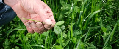 Belangrijke doelen zijn bijvoorbeeld meer eiwit van eigen land, gewasbrengsten en stikstofbodemoverschot.