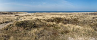 duinen_schoorl_de-kerf_shutterstock_13227946.jpg