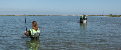 De fuiken worden geleegd en opgeruimd nadat ze een nacht in het water hebben gestaan (credits: Joep de Leeuw).