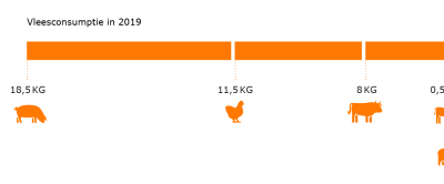 Klik op de afbeelding voor een vergroting