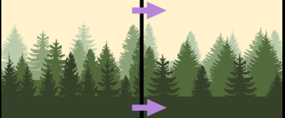 De verwachte verschuiving in boreale bossen. Links de bostypen die nu veel voorkomen: met hogere boomdichtheden in de warmere, zuidelijke zone (voorgrond, donkergroen), en lagere boomdichtheden in de koude, noordelijke zone (achtergrond, lichtgroen). Rechts de gemodelleerde verschuiving naar één soort boomdichtheid. Het type dicht boreaal bos wordt daarbij opener, en het type open boreaal bos wordt dichter.