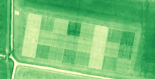 Afbeelding 1. Bovenaanzicht van het proefveld op Dairy Campus beeld van het proefveld dat genomen is met een <L CODE="C12">eBee</L>, een drone van loonwerker Christel Thijssen die uitgerust is met een multispectrale camera voor het meten van biomassa.