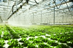 In een netwerk worden gebruikers gelinkt, bijvoorbeeld voor het hergebruik van gezuiverd afvalwater in de tuinbouw. In een netwerk worden gebruikers gelinkt, bijvoorbeeld voor het hergebruik van gezuiverd afvalwater in de tuinbouw.