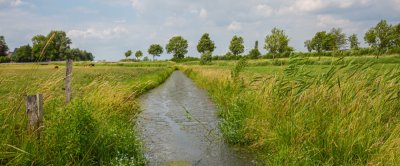 groenblauwe_dooradering_landschap_shutterstock_1541182412.jpg
