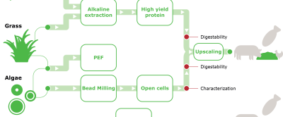 Research on extraction methods, processing, and applicability of alternative protein sources as conducted in the STW protein programme