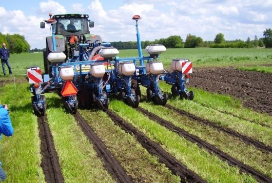 Effect grondbewerkingsmethoden en verschillende groenbemesterstrategieën in meerjarige maïsproef