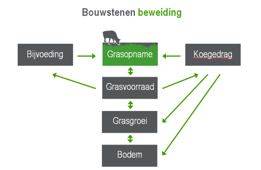 Figuur 2: de bouwstenen van Amazing Grazing Figuur 2: de bouwstenen van Amazing Grazing