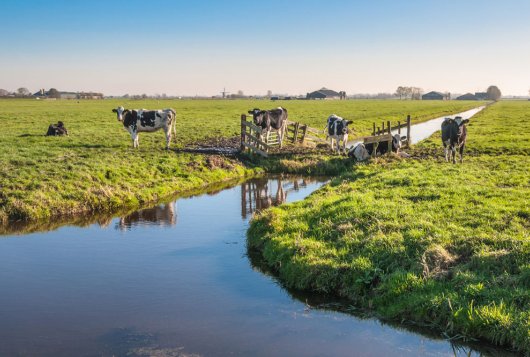 Agrarisch waterbeheer