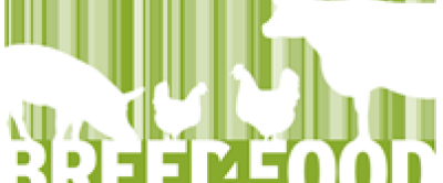 Logo Breed4Food