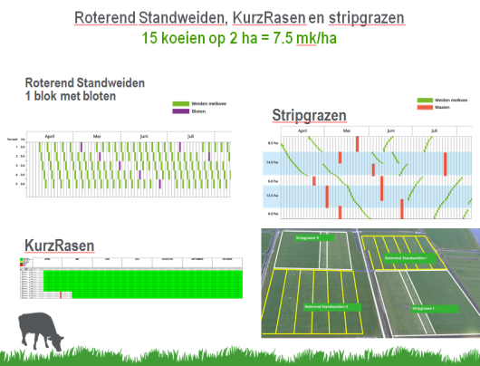 Figuur 3: bouwstenen onderzocht binnen verschillende vormen van weiden. Op Zegveld is Stripgrazen en KurzRasen, op Dairy Campus Stripgrazen en Roterend Standweiden.. Figuur 3: bouwstenen onderzocht binnen verschillende vormen van weiden. Op Zegveld is Stripgrazen en KurzRasen, op Dairy Campus Stripgrazen en Roterend Standweiden..