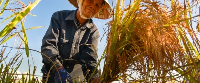 Klimaat verhaal 3: Deltaplan Vietnam