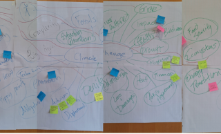 Figure 6 Mindmap of Climate Change and related research