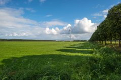 Agrarisch landschap in Flevoland Agrarisch landschap in Flevoland