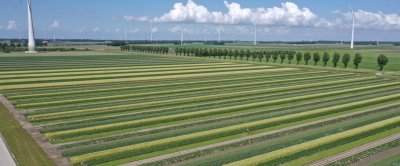 Boerderij van de Toekomst in Lelystad. Foto: OANEvents