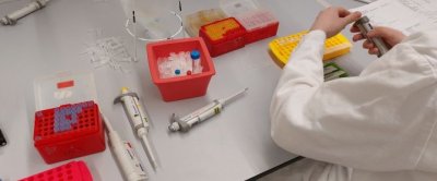 DNA-extractie.jpg