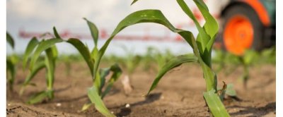 Lees de nieuwste editie van Wageningen World