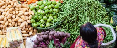 ‘Het hele systeem moet op de schop. De nadruk moet liggen op inclusieve en rechtvaardige besluitvorming.' Photo: Tati Nova photo Mexico / Shutterstock.com.
