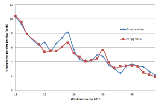 Figuur 2: Geschatte vers grasopname (kg ds/koe/dag op basis van VEM-dekking) gedurende het seizoen 2016 bij Roterend standweiden (RSW) en stripgrazen (SG) op Dairy Campus in 2016