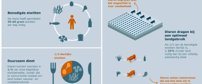 Kringlooplandbouw_eiwitten_NL.png