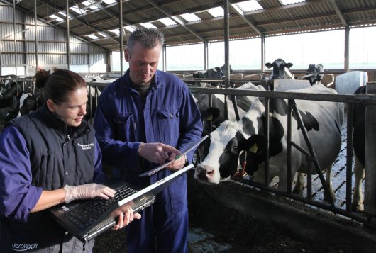 Doelen Duurzame Zuivelketen deels gerealiseerd; toename veestapel zorgt voor forse uitdagingen