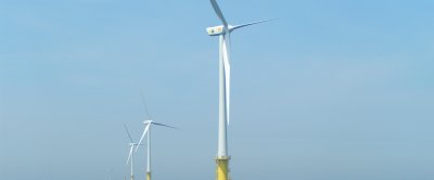 Windparken op zee brengen ecologische risico's met zich mee, maar bieden ook kansen.