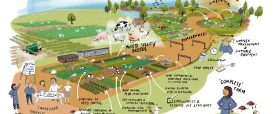 10_Intercropping_And_Livestock_ (1).jpg