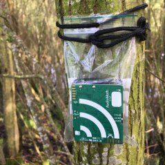 Een AudioMoth acoustische logger, die geluiden van vogels en vleermuizen waarneemt. Foto: Ralph Buij Een AudioMoth acoustische logger, die geluiden van vogels en vleermuizen waarneemt. Foto: Ralph Buij