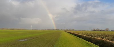 Rassenproef die wordt betreden (de strook/plot met weinig gras staat onder water)