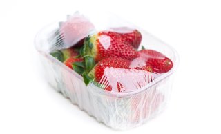 shutterstock_210167968_verpakking_polypropyleen_aardbeien.jpg