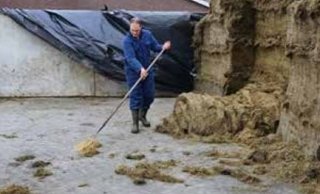 Figuur 2: Uitkuilresten terugvegen naar de kuilopslag helpt erfafspoeling te beperken.
