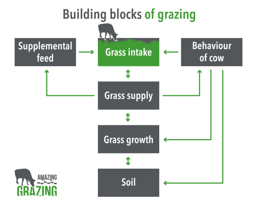 Building blocks of grazing