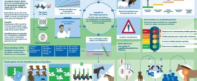 Infographic 3: Omgang met inteelt en verwantschap in een ras