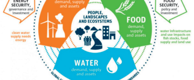 De voedsel-energie-water nexus, waarbij enkele verbanden tussen functies worden geïdentificeerd en uitgelegd. Bron: IAW, 2018.
