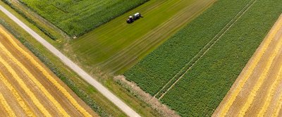 Strokenteelt vanuit de lucht. Foto: HAKO fotografie.