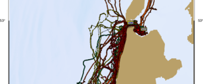 Figuur 1: Tracks van de zes gezenderde zeehonden, credits: Wageningen Marine Research.