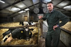 Melkveehouder Harm Wientjes in Oploo werkt samen met drie akkerbouwers uit de omgeving. (foto: Marcel van den Bergh) Melkveehouder Harm Wientjes in Oploo werkt samen met drie akkerbouwers uit de omgeving. (foto: Marcel van den Bergh)