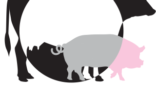 Logo ClearFarm.png
