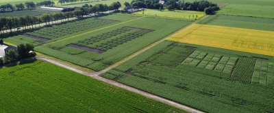 Luchtfoto Marwijksoord