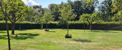 De Marina van Damme Appelboomgaard