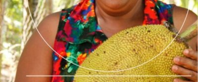 Collaboration between Wageningen University & Research and Brazil