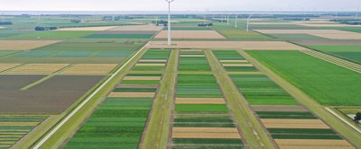 Figuur 2. De ICM akkerbouw systeemproef gewasbescherming in Lelystad